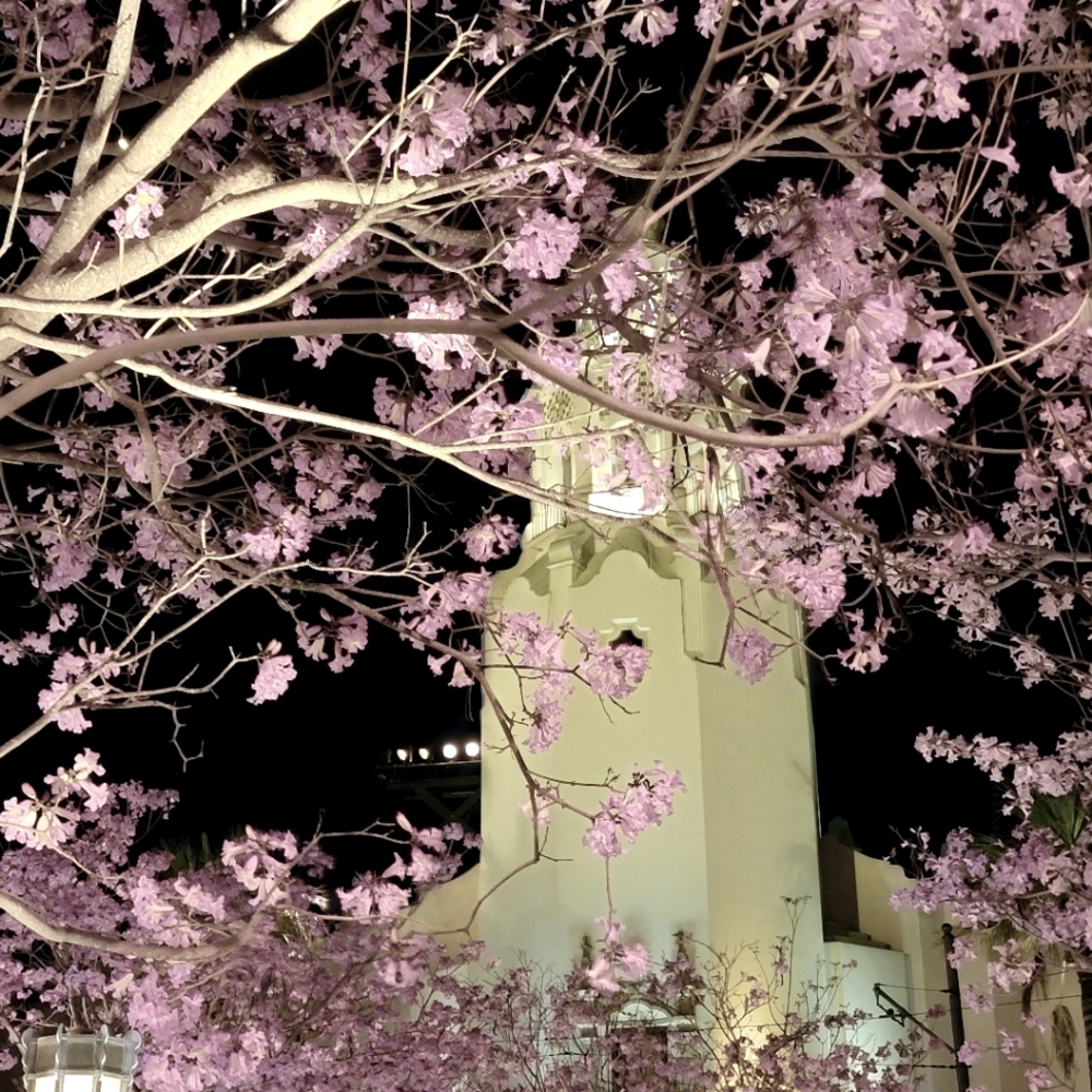 Meet your Posher, dlightedxdisney